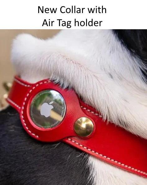 AirTag Dog Collars