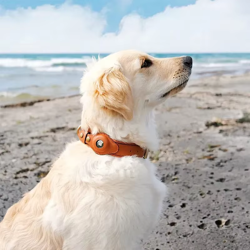 AirTag For Dogs