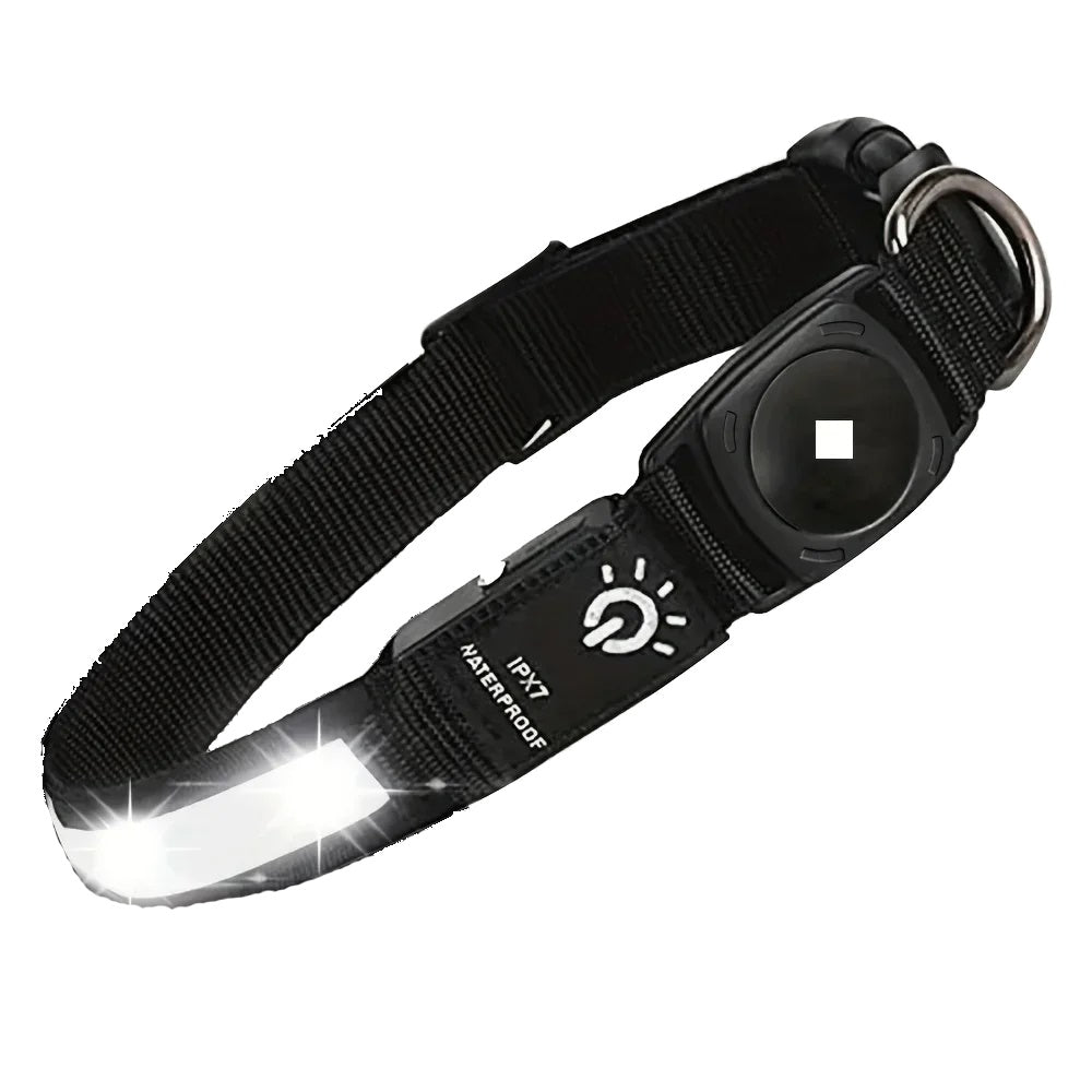Waterproof LED dog collar. - Black