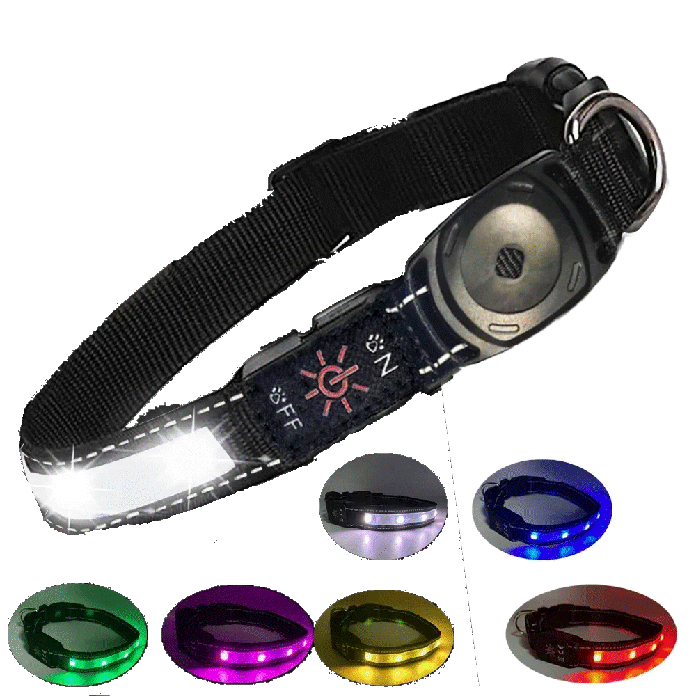 Waterproof LED dog collar. - Multi-Colour