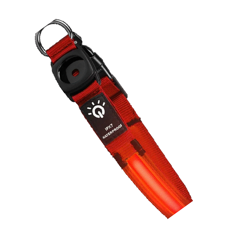 Waterproof LED dog collar. - Red