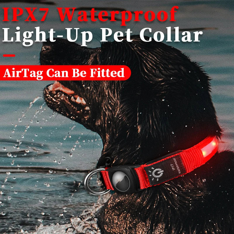 Waterproof LED dog collar. - Red