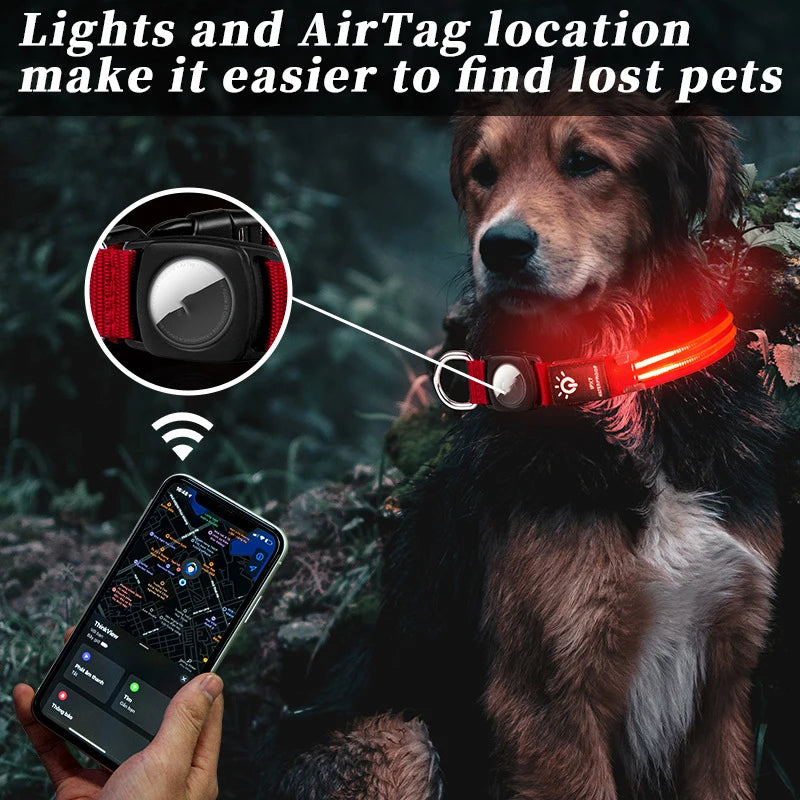 Waterproof LED dog collar. - Blue