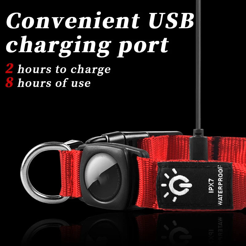 Waterproof LED dog collar. - Blue