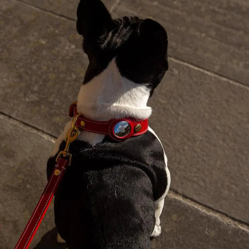Luxury Genuine Leather Pet Collar with Airtag pocket - Brown